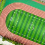 IAAF Epdm Plastic Outdoor Jogging Track Seamless Colorful 13mm