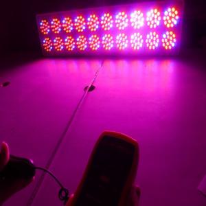 Quality Cidly A20 730W Powerful full spectrum hydroponics Light Led Indoor grow lamps hydroponics wholesale