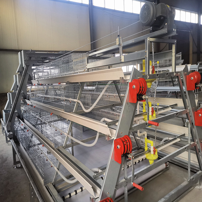 Automatic Broiler Equipment For Chicken House, 380V 50HZ With SONCAP Approval