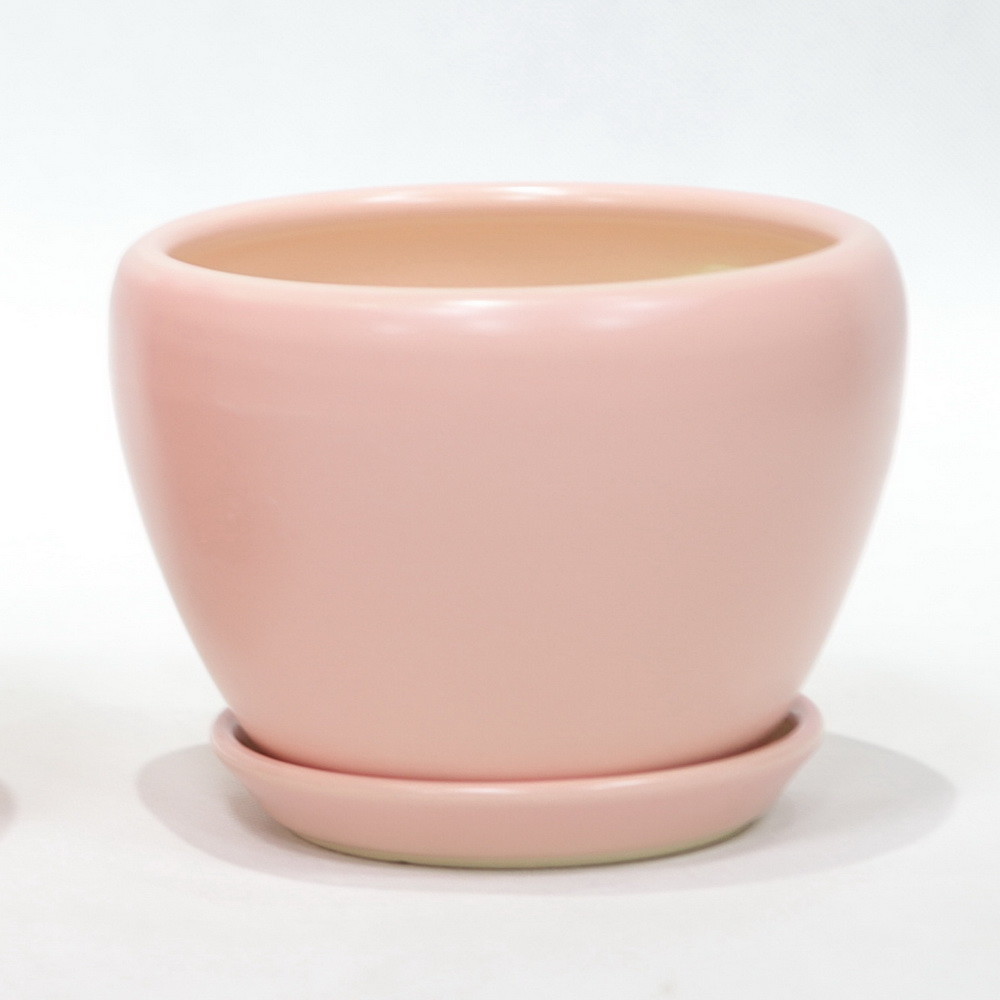Affordable And Durable Ceramic Pots For Your Plants Custom Designs Available