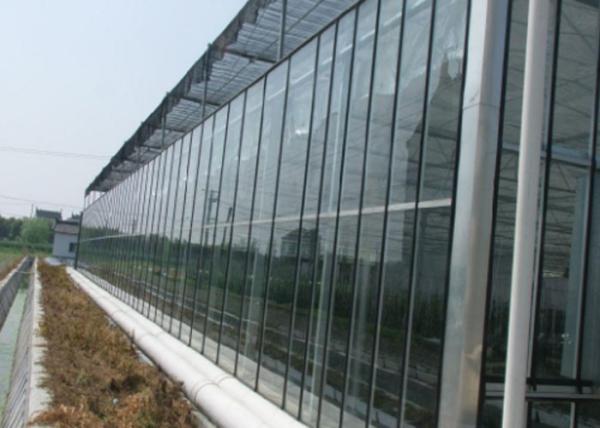 Fully Automatic Glass Greenhouse , Venlo Multi Span Greenhouse Corrosion