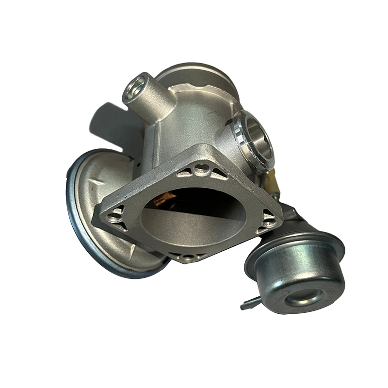 EGR Valve Repair Kit C00016197 for MAXUS V80/A80 0.98KG OE