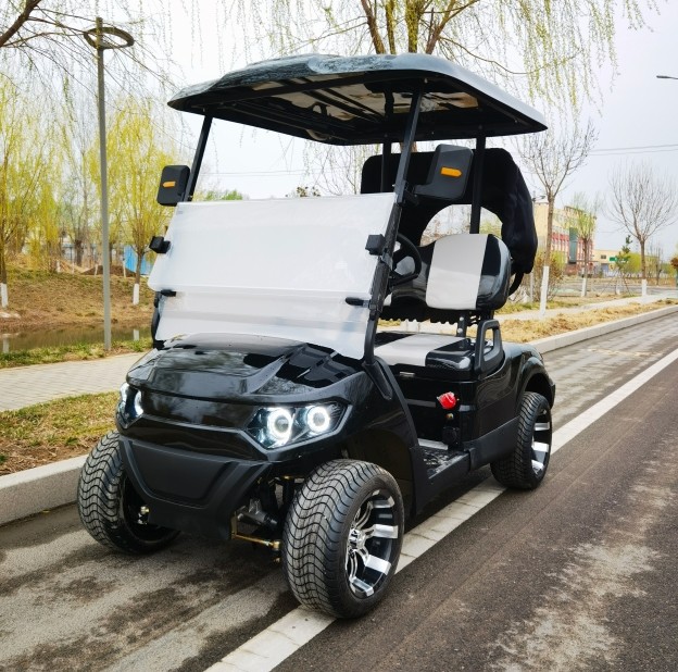 Black Color 2 Seater Golf Cart 4 Wheel 10 Inch Tire 70-100km With Lithium Battery