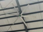 220VAC 0.5kw Commercial Gearbox Ceiling Fan