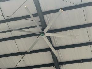 Quality 220VAC 0.5kw Commercial Gearbox Ceiling Fan wholesale