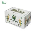 Correx Vegetable Corrugated Boxes Agriculture Hollow Board Box
