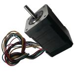 42mm Square Flange 24v 100w Brushless Dc Motor For Automatic Doors