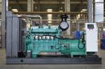 200kVA 300kVA Silent Natural Gas Generator with Sutomatic Start
