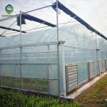 Flowers Planting Clear Film 9m Multi Span Greenhouse Sturdy Stable