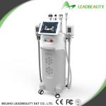 Five Big heads cryolipolysis slimming machine