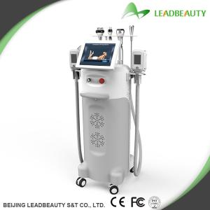 Quality High-tech/Professional/ multi-functional cryolipolysis device wholesale