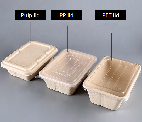 Disposable Pulp Food Containers Take Away Lunch Box Sugarcane Bagasse Biodegradable