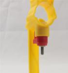 Automatic poultry nipple drinking system for livestock QL204