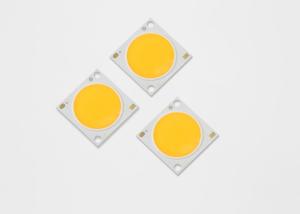 Quality 30W 36V Residential Commercial Chip Led Cob RA90 High Quality Illumination wholesale
