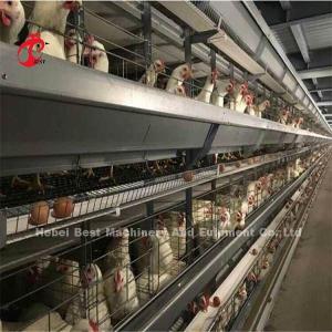 Quality 3 4 Tiers Automatic Layer Chicken Battery Cages For Laying Hens Mia wholesale