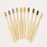 Vegan Truly Eco Friendly Fully Compostable Toothbrush BPA Free