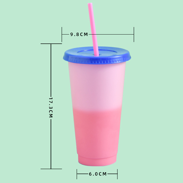 Reusable Color Changing Cold Cups Summer Magic Plastic Coffee tumbler With Straws Set of 5