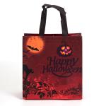 Promotion Non Woven Fabric Gift Bag Folding Laminated Custom Logo