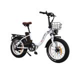 Electric Bike Tire EU Warehouse Customized Tire With 10AH/15AH 21700 50E Battery