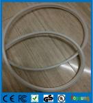topsung led flexi neon lights 8.5*18mm outdoor string lights
