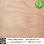 Wanult,Ash,Okoume natural veneer