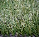 Export goods artificial grass carpet for football stadium