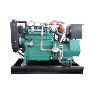 Quality 50HZ/60HZ 40KW 50KVA Natural Gas Powered Cummins Generator with Free Energy Output wholesale