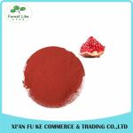Natural Fruit Extract Pomegranate Juice Powder for Food