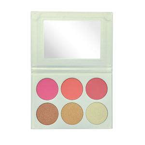 Quality Long Lasting Private Label Cheek Makeup Blush Palette wholesale