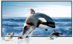 Wall Mount Fixed Frame Projection Screen HD Aluminum Frame For Home Cinema