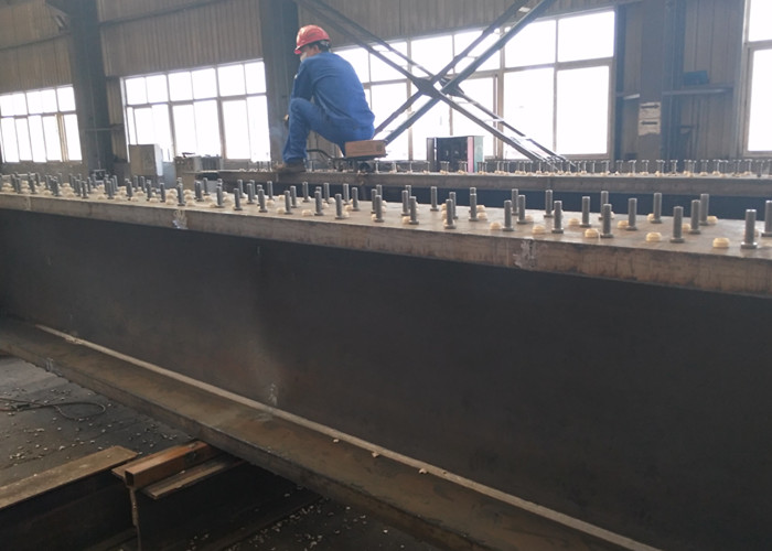 Oem Steel Fabrication Services Heavy Steel Structure Frame Multi Storey With Stud