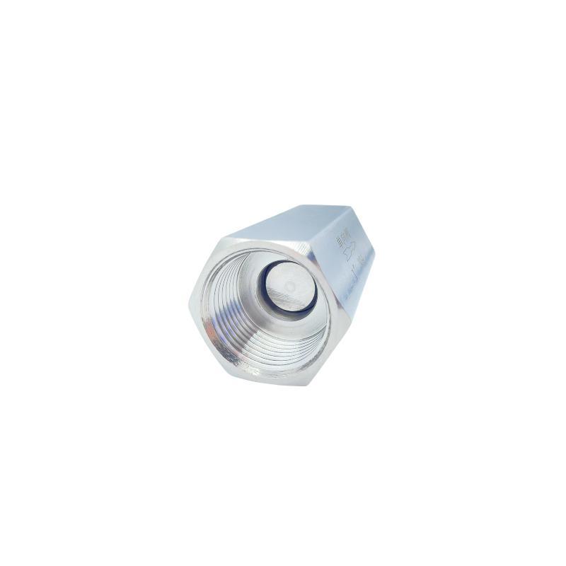 Stainless Steel 304 Double Femal Thread Check Valve