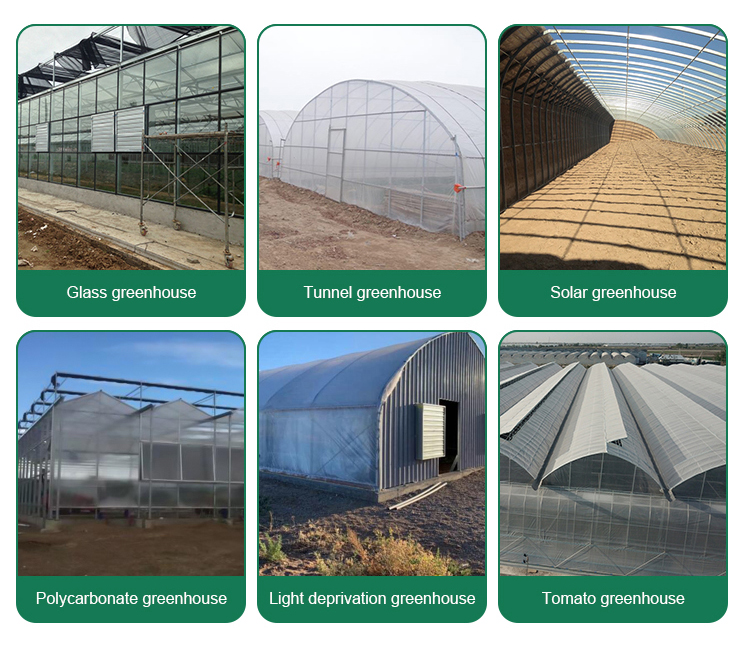 4.0m-6.0m Gutter Height Commercial Glass Greenhouse for Vegetable Flower
