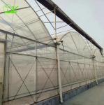 PP Hydroponic Tomato Growing Dutch Bucket System for Vegetables