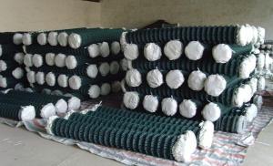Quality garden fencing,vinyl fence,PVC coated Chain Link Fence, Commercial fencing wholesale