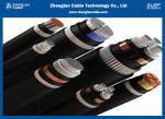 0.6/1KV Two Cores unarmoured XLPE Insulated Power Cables（CU/XLPE/LSZH/DSTA