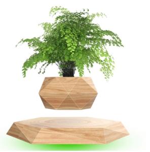 Quality Levitating Air Bonsai Pot - Magnetic Levitation Suspension flower wholesale