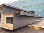 V/A Steel Structure Bridges 23mx3.3mx3m Sa2.5 Construction