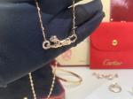 Car Tie 18k Gold PanthèRe De Car Tier Necklace Rose Gold Tsavorite Garnets VVS