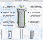 Best effect!!! fat freeze,skin rejuvenation,wrinkle removal cryolipolysis