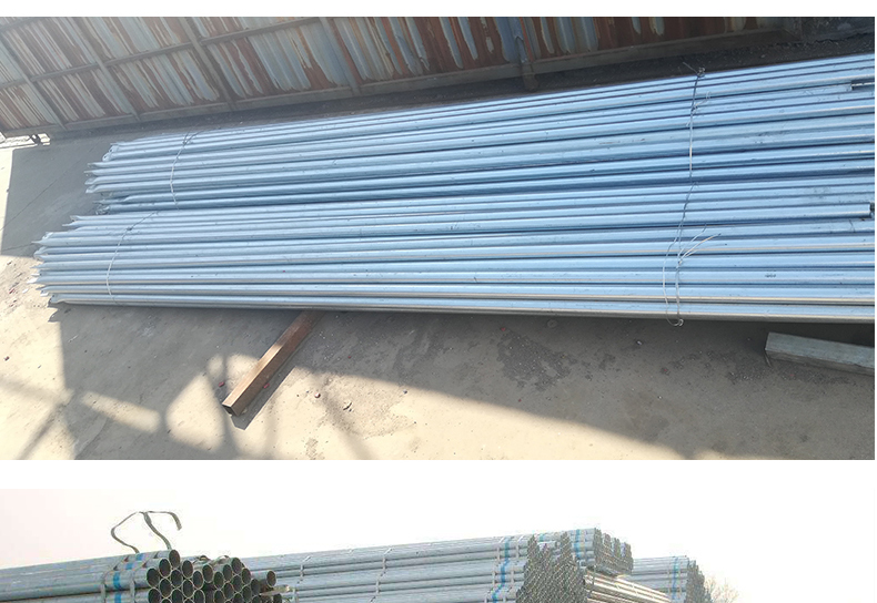 Commercial Film Covered Single Tunnel Greenhouse for Maximizing Agricultural Output