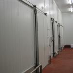 PUR PIR Insulated R404a Walk In Cooler
