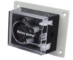 OEM peristaltic pump for swimming pool water treatment