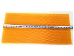 Quality 283mm Wide Plastic Foundation Sheet Bee Hive Kits Of Black And Yellow Color wholesale