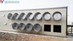 Safe Automatic Poultry House Ventilation System For Broilers / Hens