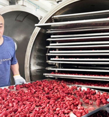 Silicone Oil Heating Commercial Freeze Dried Fruit Machine for Meat Fish Vegetable