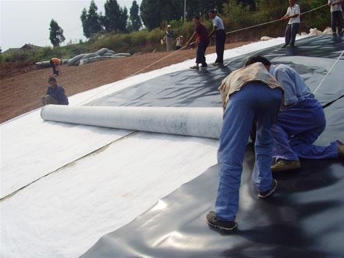 Minimalist HDPE Geomembrane for Farm Pond Liner 1mm 1.5mm 2mm Thickness Length 50-200m