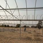 Single Layer Roof and Side Ventilation Namibia Commercial Greenhouse for
