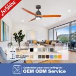 110-240V/50Hz-60Hz 10 52 Inch Wood Blades Ceiling Fan with LED Lights Remote