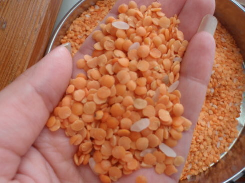 Beans Seeds Multipurpose Sorting Equipment With Industrial Camera 3 Chutes
